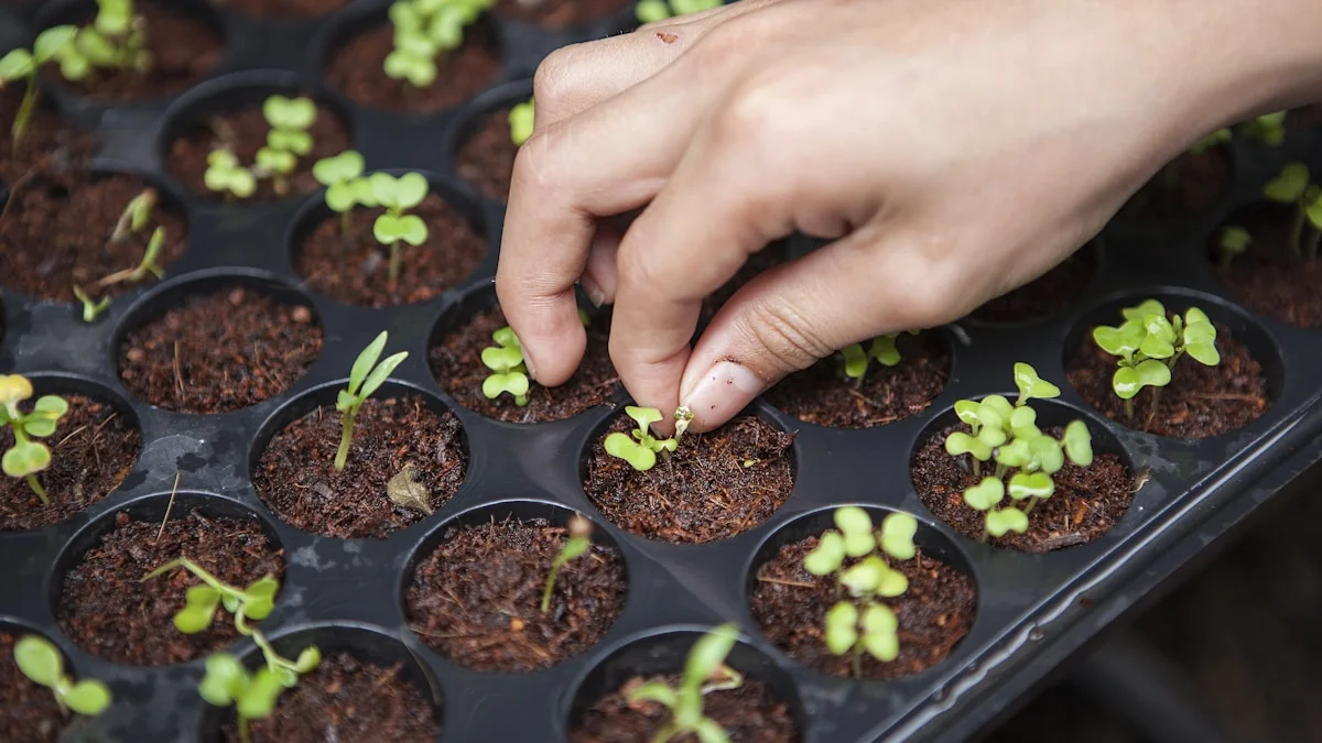 Timer digitale per automazione luci e irrigazione grow room